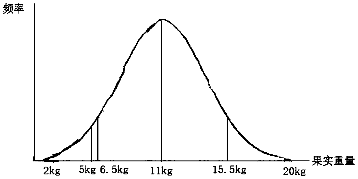 A secondary pedigree selection method for winter melon peel black and fruit size