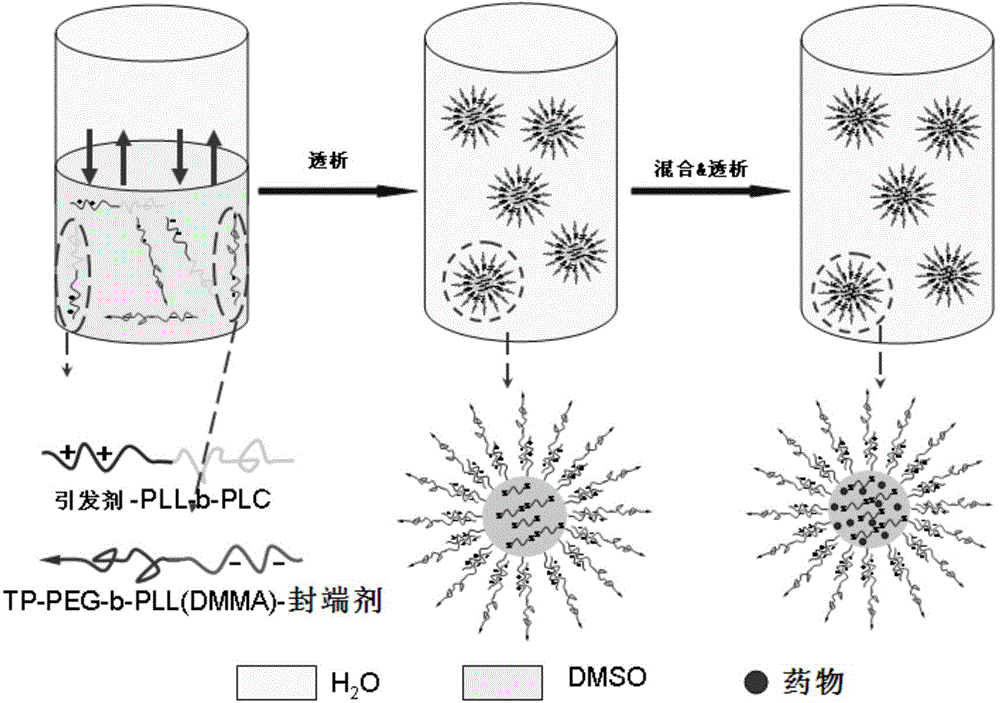 A kind of shedding polymer nanocarrier, its preparation method and application