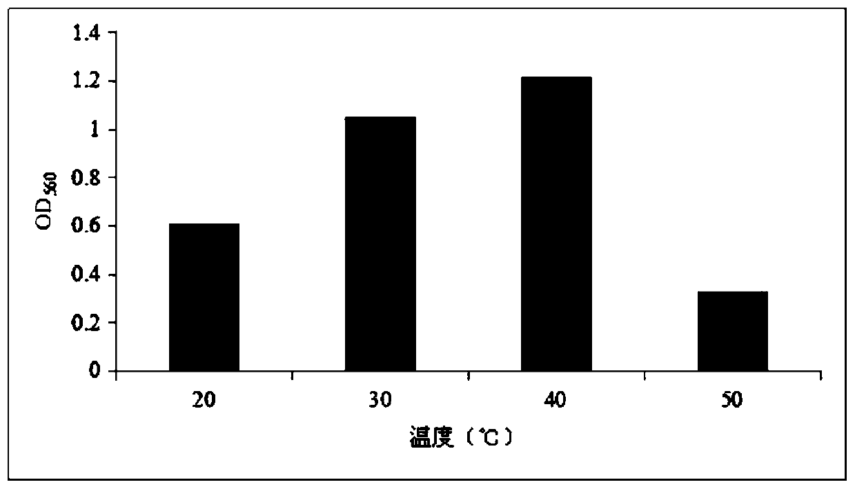 Lactobacillus paracasei, preparation method thereof, and kitchen waste processing apparatus