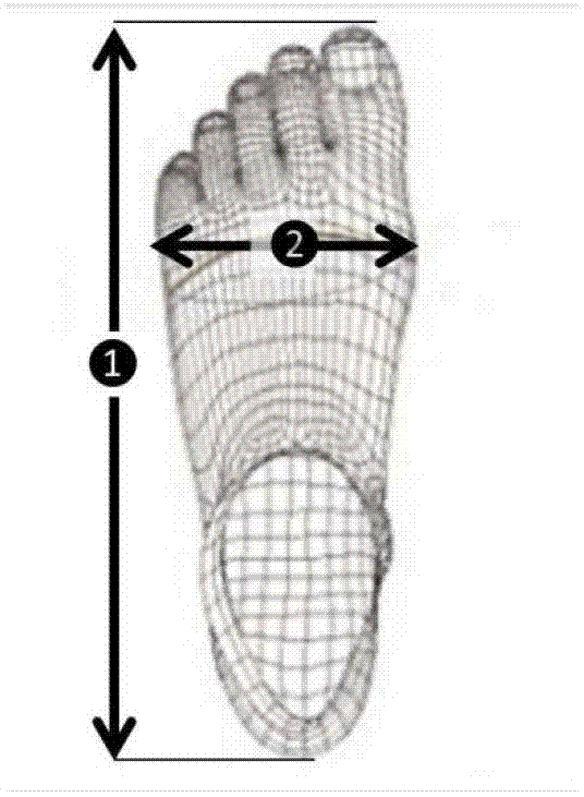Noncontact foot measurement and shoe tree matching method