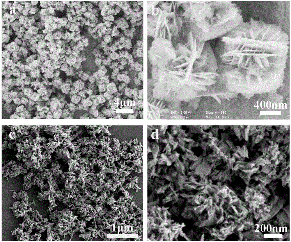 Novel ZnO/Cu2O heterojunction photocatalytic material and preparation method thereof