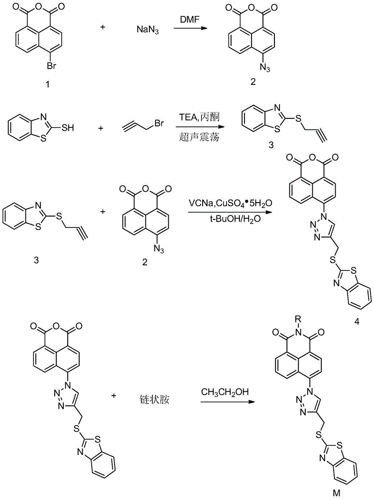 A class of naphthalimide compounds containing 2-mercaptobenzothiazole and triazole heterocycle, its preparation method and application