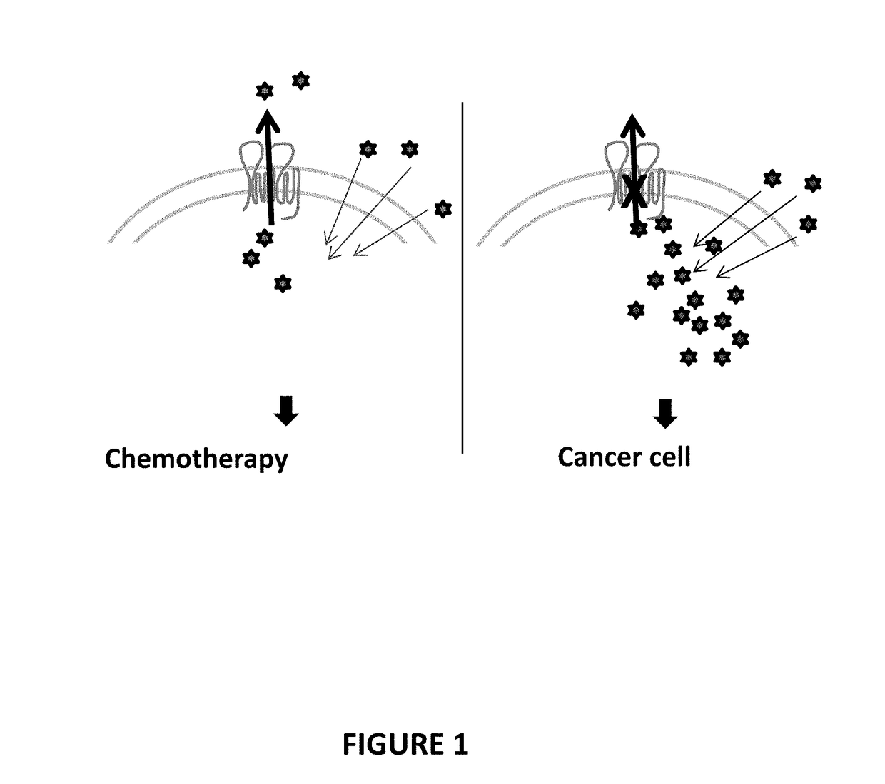 Panicein compounds, compositions and uses thereof