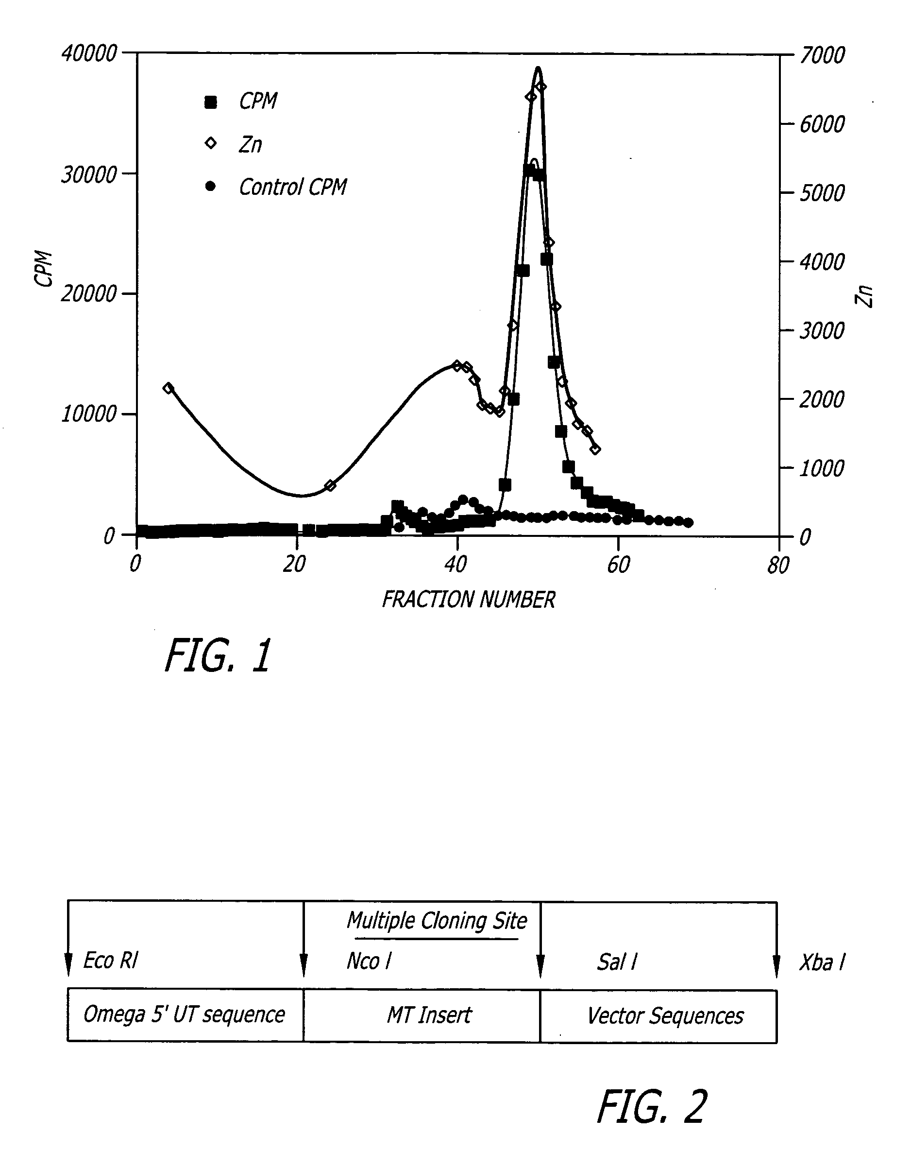 Compositions and methods for removing heavy metals from contaminated samples using membranes provided with purified metallothionein (MT) proteins