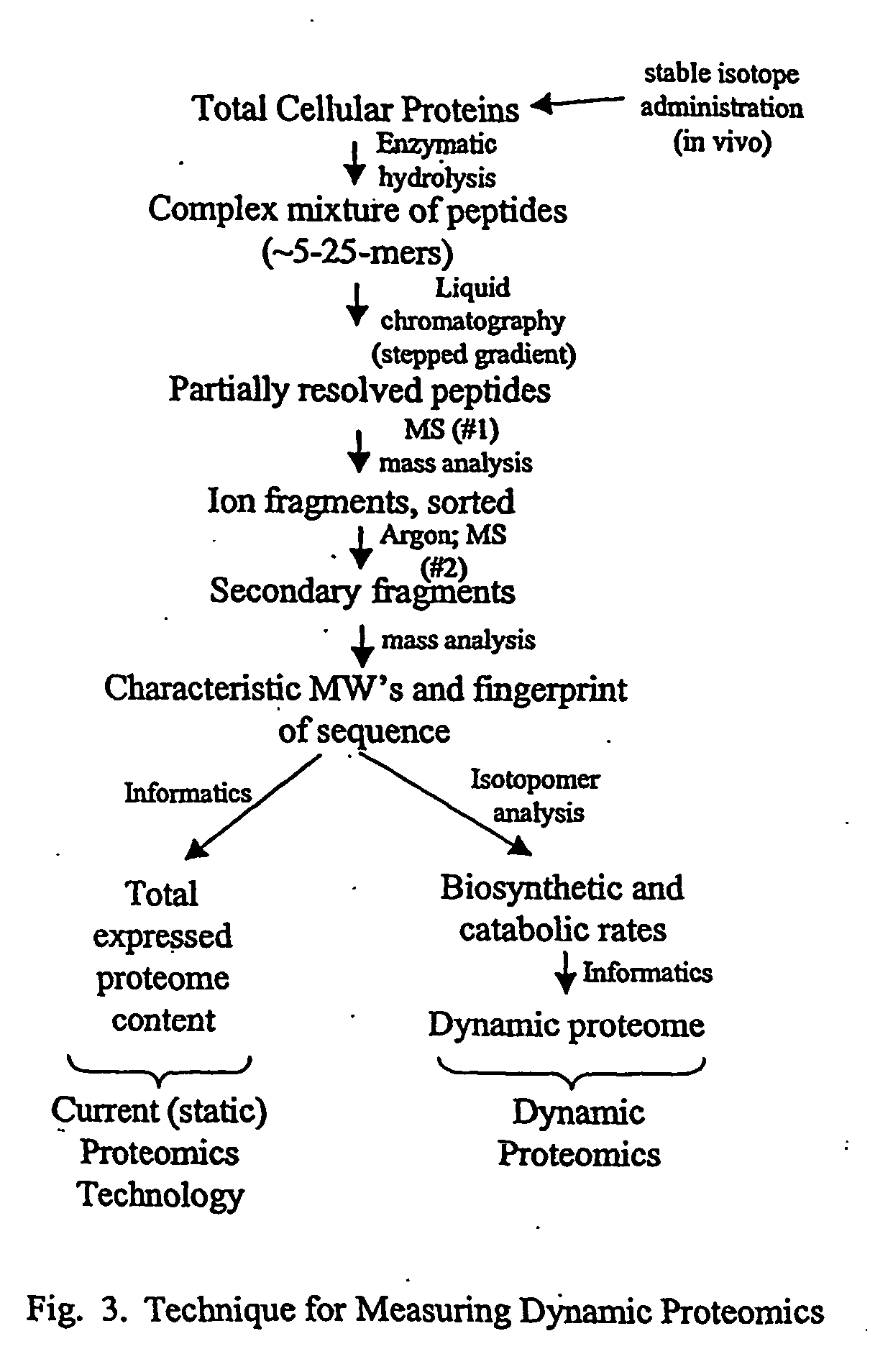 Method for automated, large-scale measurement of the molecular flux rates of the proteome or the organeome using mass spectrometry