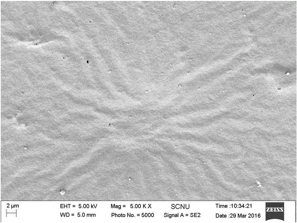 Fe-MCM-41/CA blend film and preparing method and application thereof