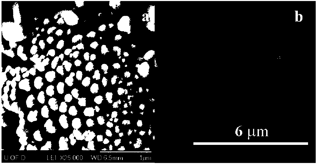 TiO2 nanotube-based perovskite cell electrode preparation method