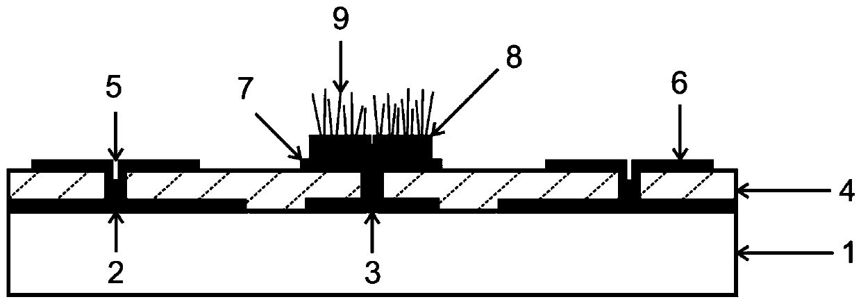 A nanometer cold cathode electron source with a double ring gate structure and its manufacturing method