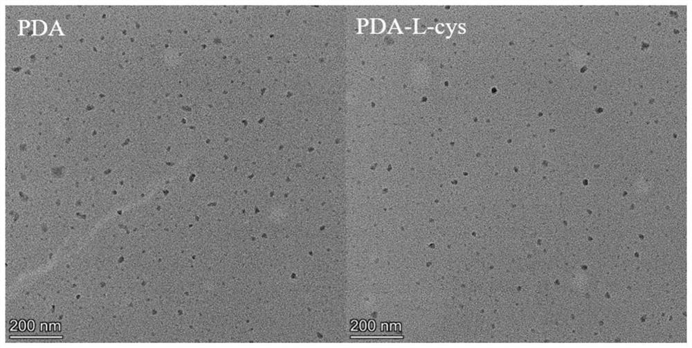 Preparation method of ultra-small polydopamine/polydopamine cysteine nanoparticles