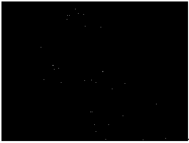 Human laryngeal epithelium cancer cell as well as preparation method and application thereof