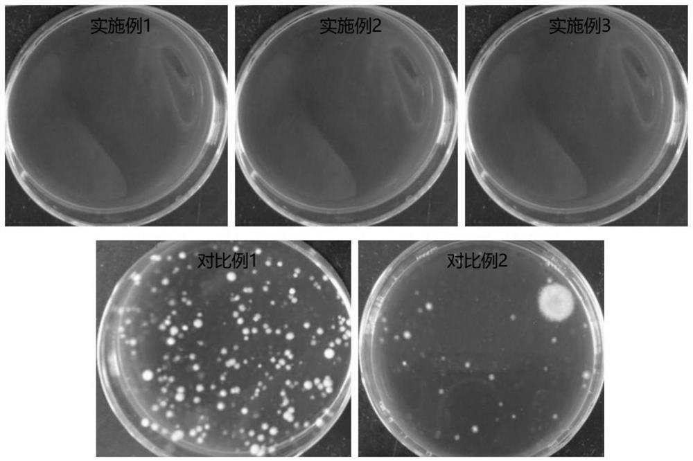 A bacterial agent and its application for reducing the harm of mildew and mycotoxins in fermented feed