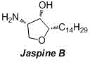 Method for synthesizing natural product Jaspine B isomer
