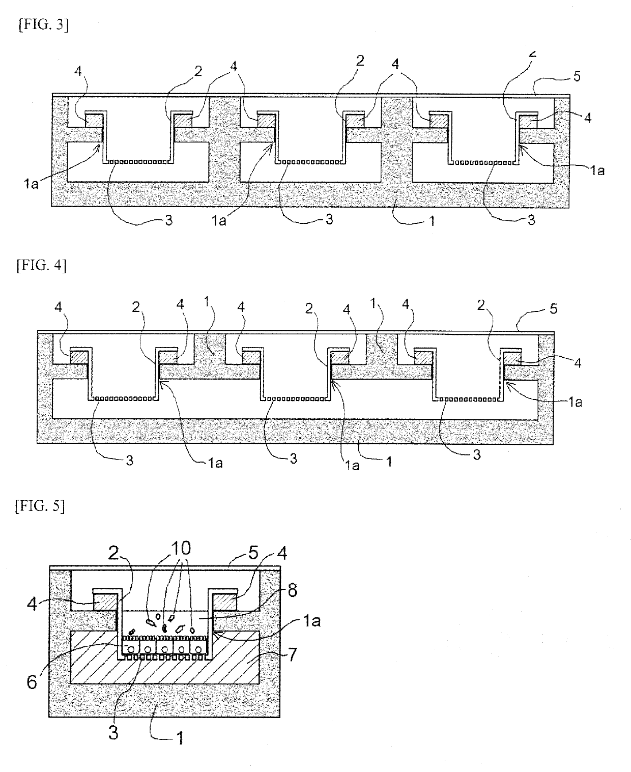 Co-Culture Device and Co-Culture Method for Bacterium Such as Anaerobic Bacterium and Epithelial Cells