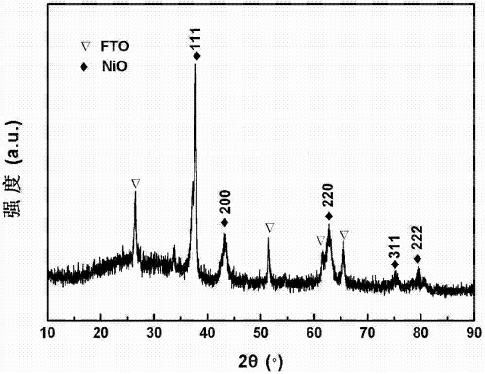 Method for preparing nickel oxide electrochromic film by hydrothermal method