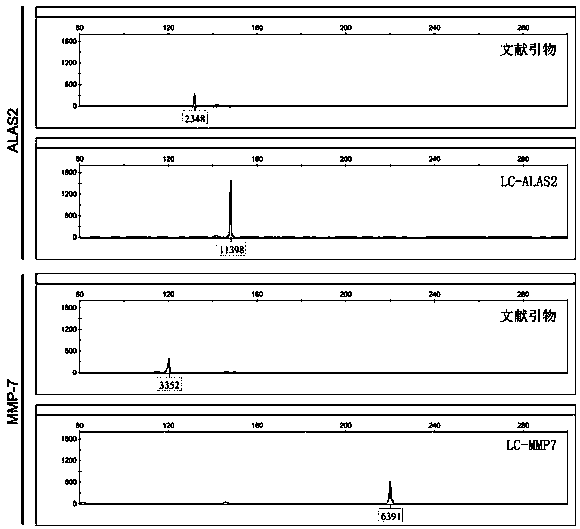 Detection method and application of gene transcription product