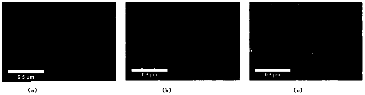 Method for cholate-metal ion composite modified whole cell and application of cholate-metal ion composite modified whole cell