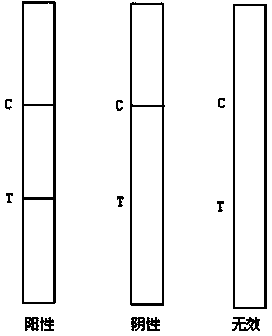 Colloidal gold immune test strip for rapid detection of Papaya ringspot virus