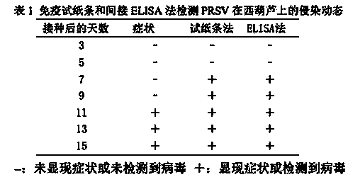 Colloidal gold immune test strip for rapid detection of Papaya ringspot virus