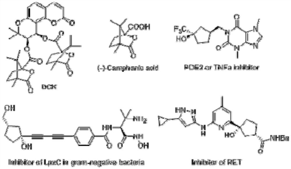 A kind of method of synthesizing chiral bridged cyclic lactone