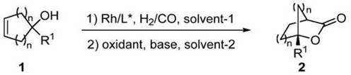 A kind of method of synthesizing chiral bridged cyclic lactone