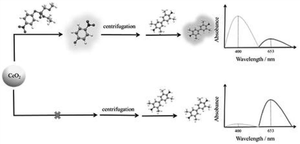 Ratio sensing detection method for activity of CeO2 imitated organophosphorus hydrolase and imitated oxide enzyme