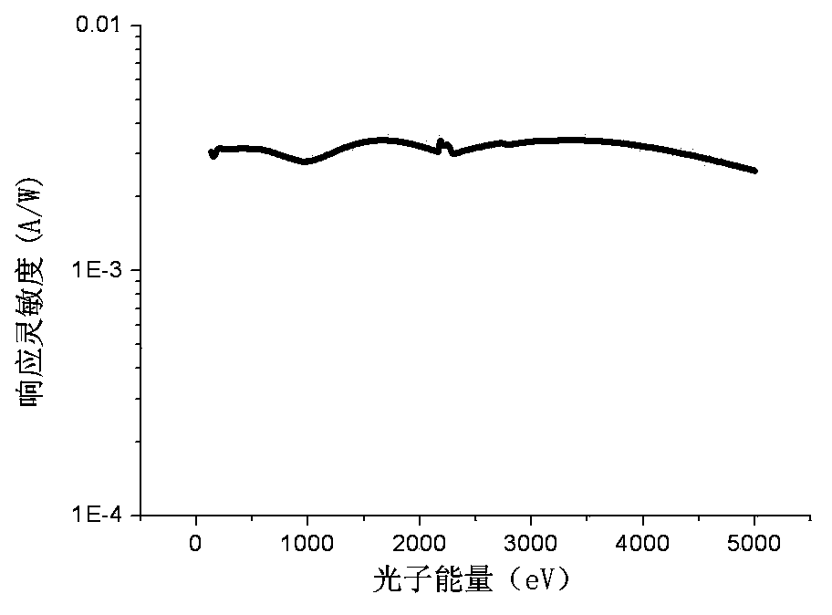 Transmission-type X-ray photoelectric cathode