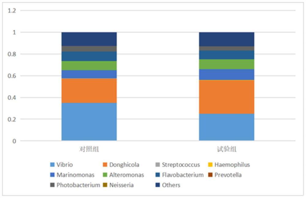 Method for efficiently purifying artemia used in shrimp breeding period