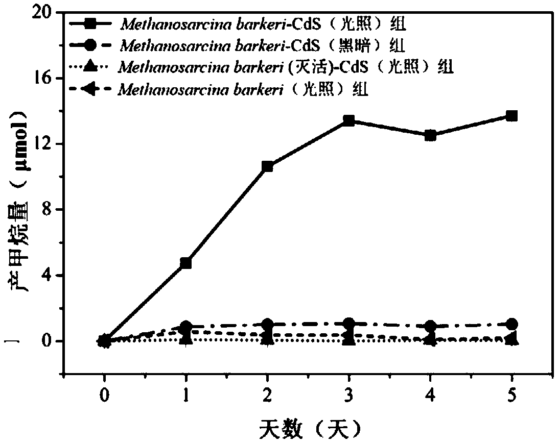 Method for reducing carbon dioxide to produce methane by optically driving methane octococcus