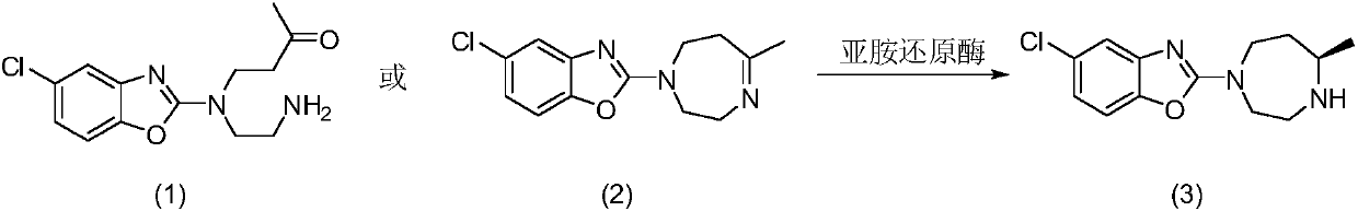 Suvorexant key intermediate enzymatic preparation method