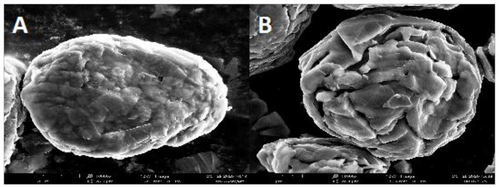 Double-particle-size pitch repeatedly-coated shaped graphite silicon-carbon negative electrode material as well as preparation method and application of graphite silicon carbon negative electrode material