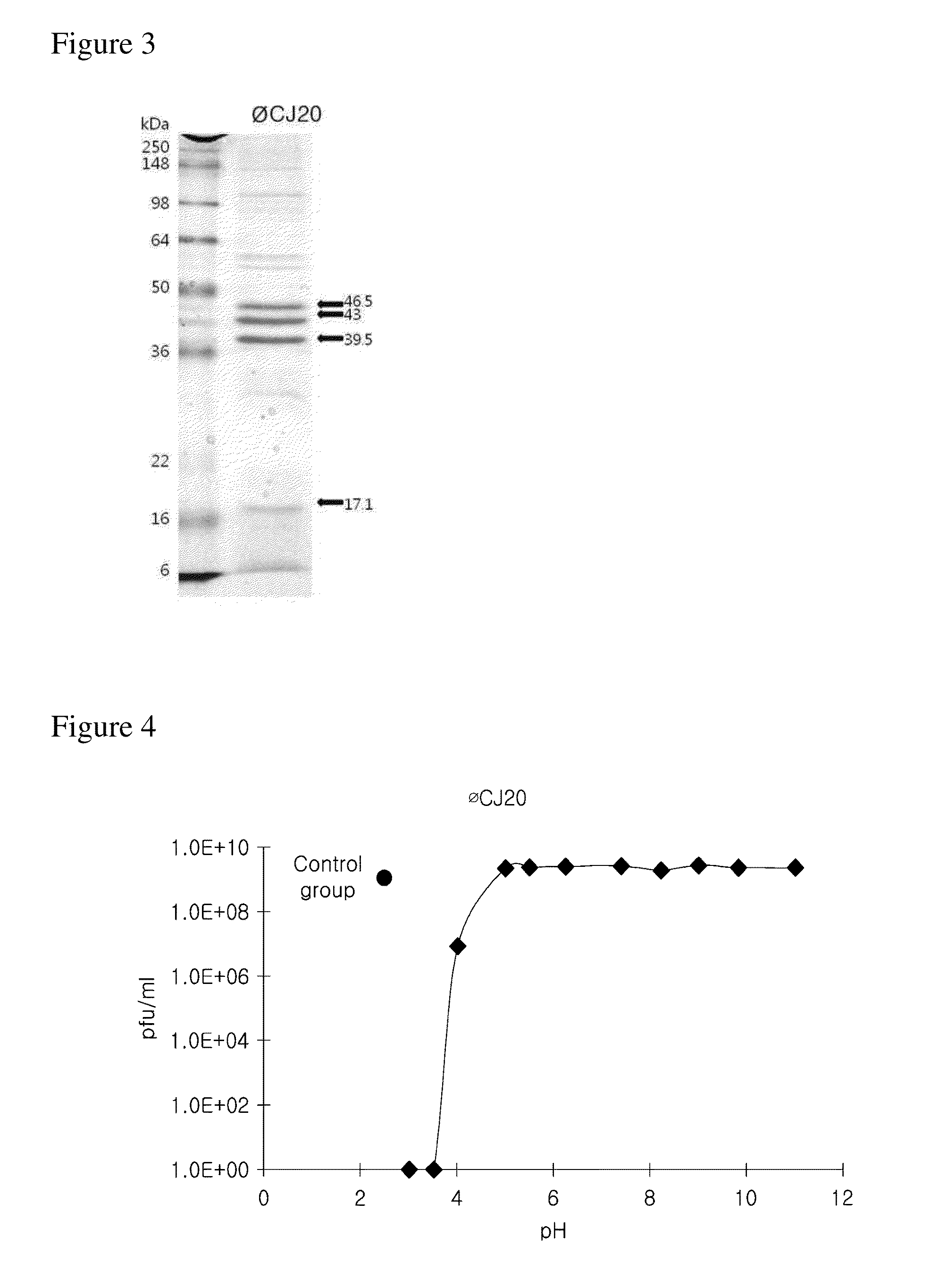 Novel bacteriophage and antibacterial composition comprising the same