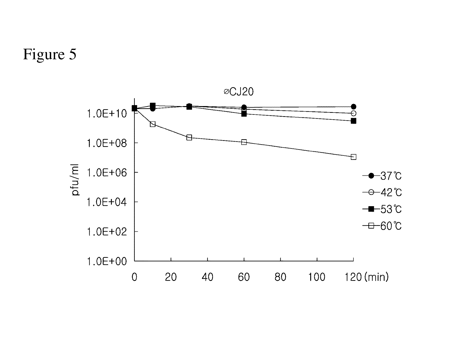 Novel bacteriophage and antibacterial composition comprising the same