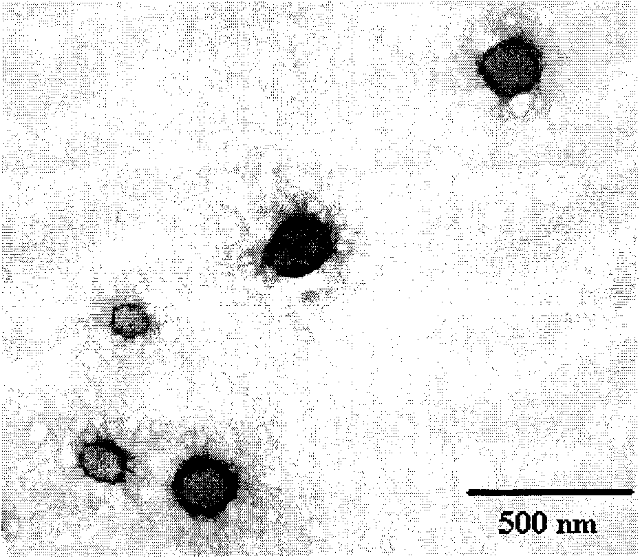 Preparation and application of Silybin/Silymarin polymer micelle