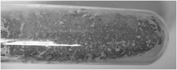 Method for screening strain with high yield of Zhongshengmycin