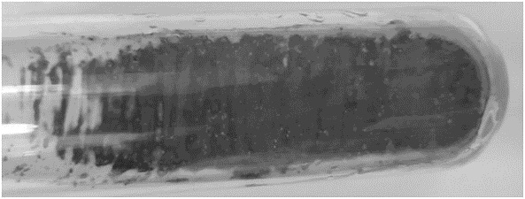 Method for screening strain with high yield of Zhongshengmycin