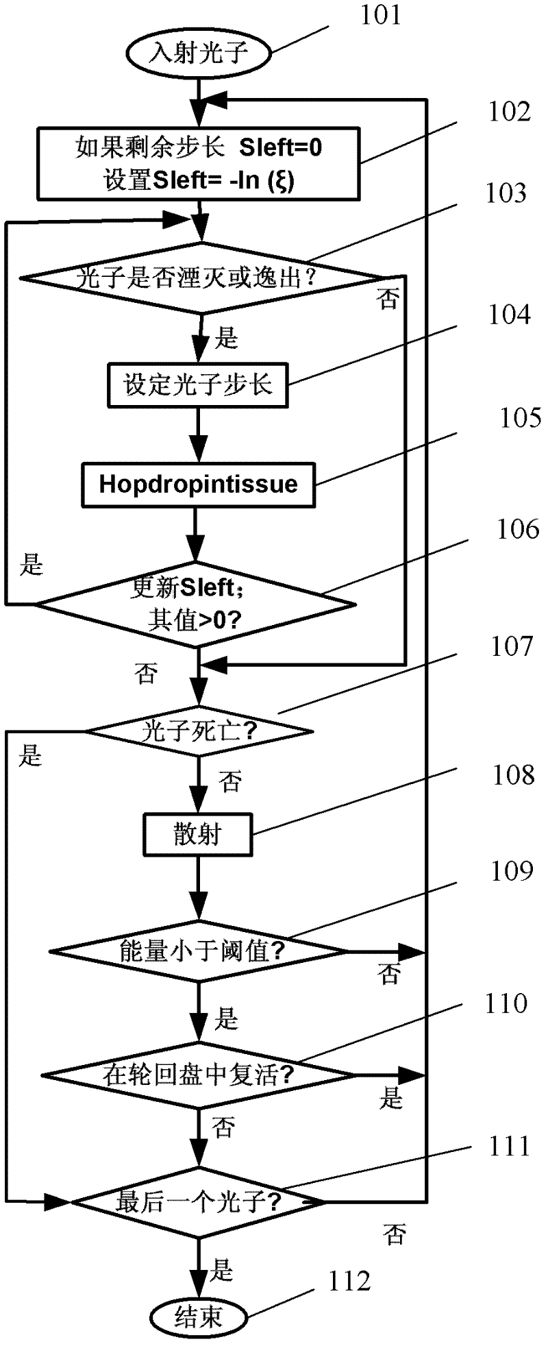 Analysis system and method for obtaining stable state/transient state light diffusion characteristic