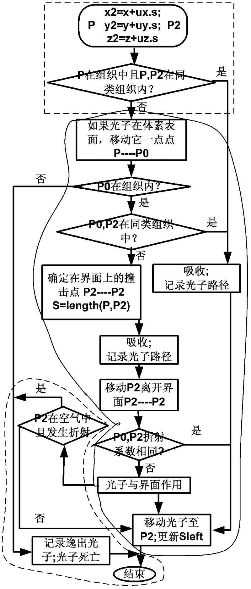 Analysis system and method for obtaining stable state/transient state light diffusion characteristic