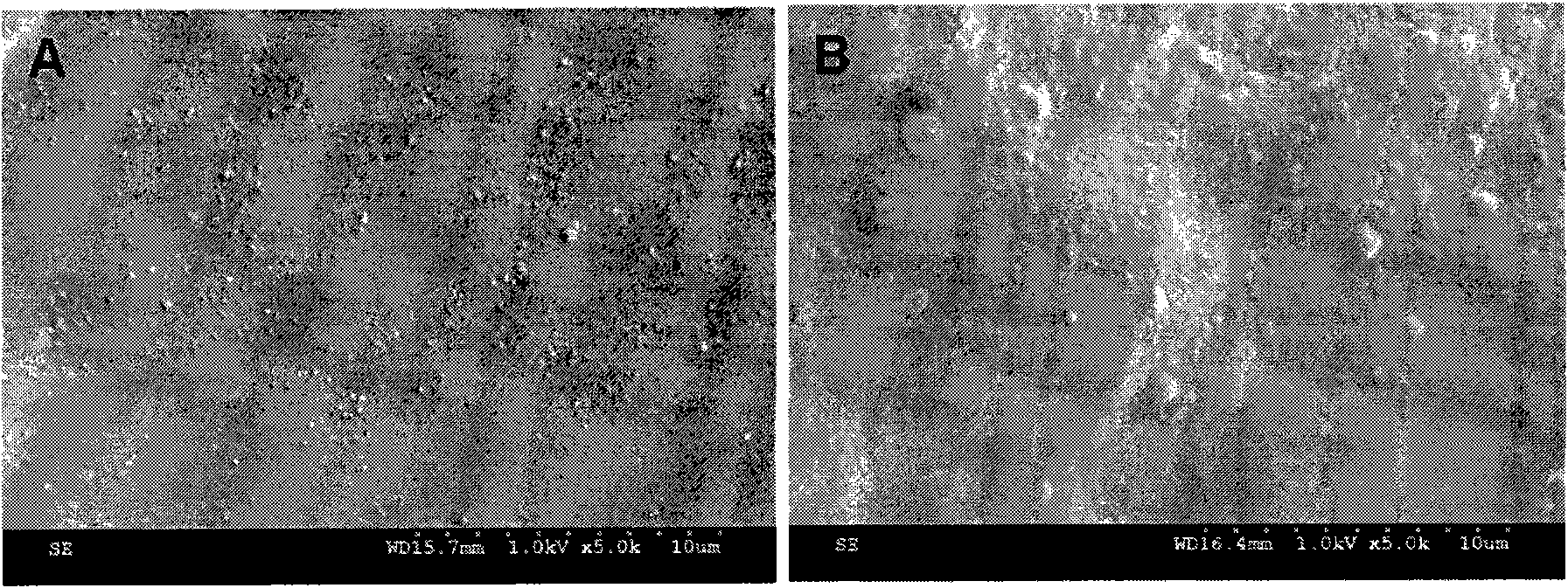 Chemically cross-linked hyaluronic acid hydrogel nanoparticles and the method for preparing thereof