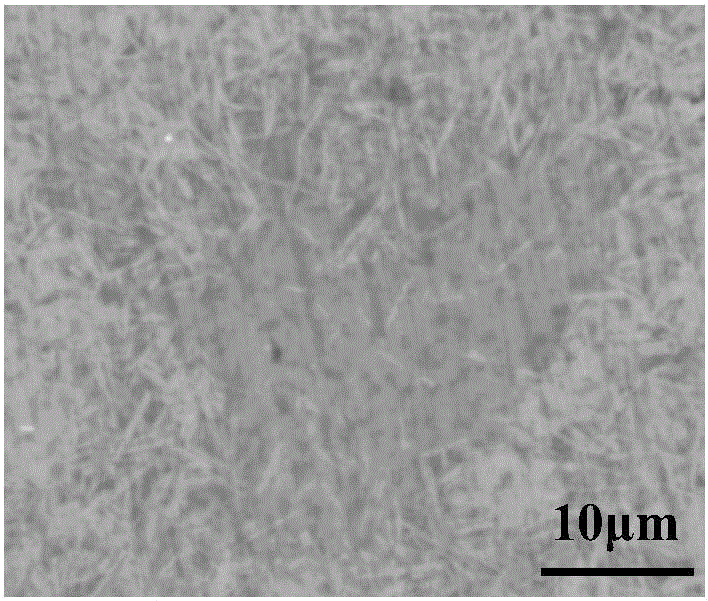 Surface modification method of tungsten and aluminum composite material