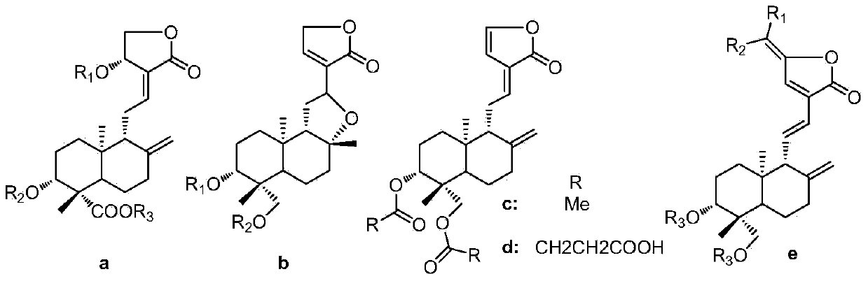 14-deoxy-14,15-didehydro andrographolide derivatives and medicine composition and application thereof