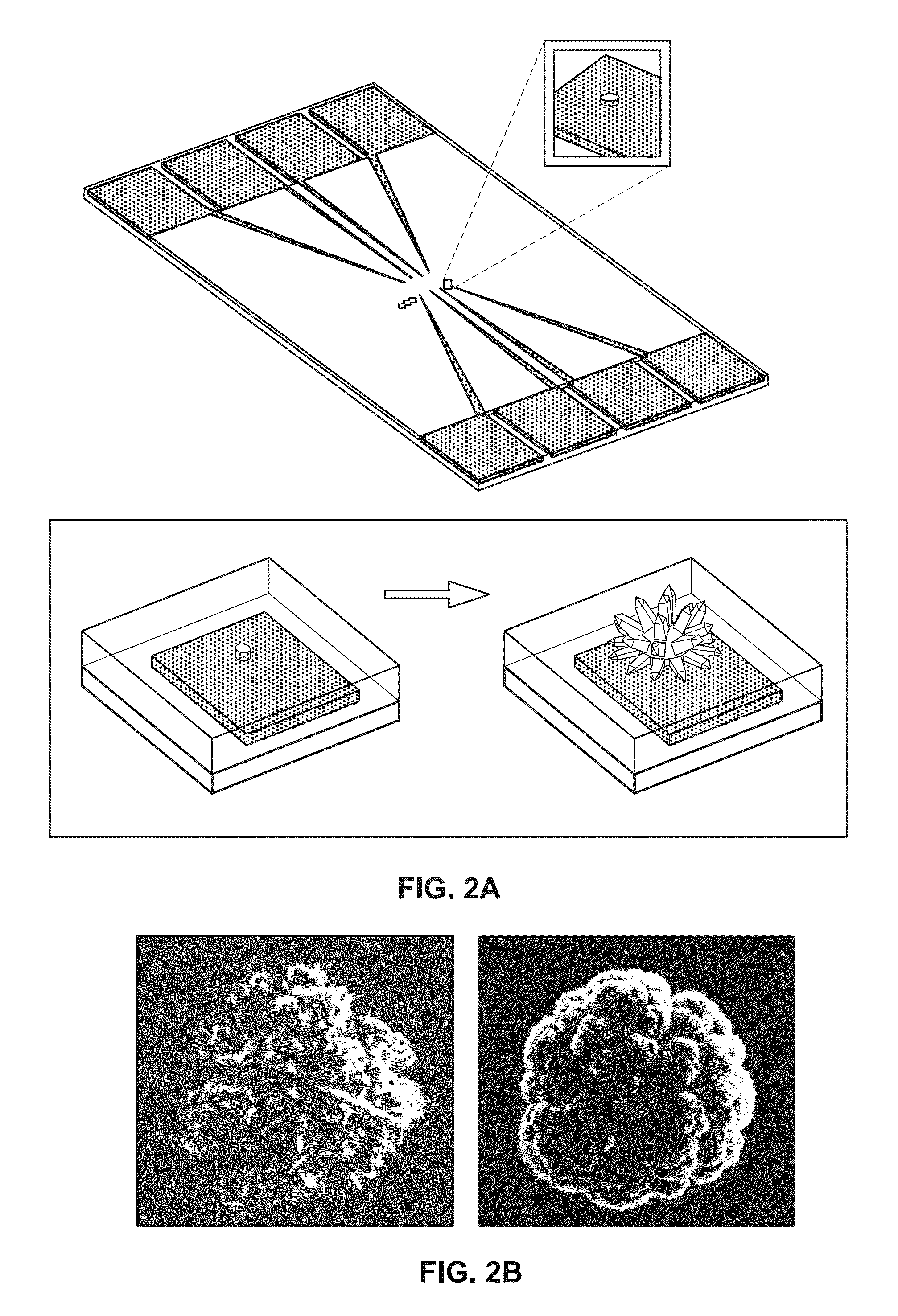 Nanostructured microelectrodes and biosensing devices incorporating the same