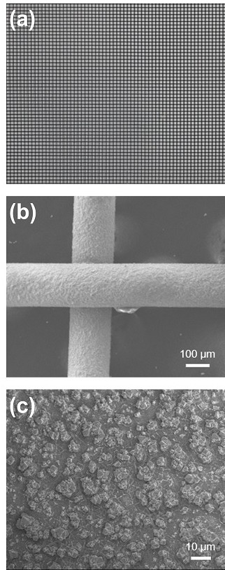 A kind of active cathode and its preparation method and application