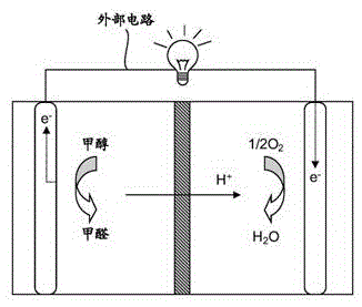 Microbial fuel cell for treating domestic sewage