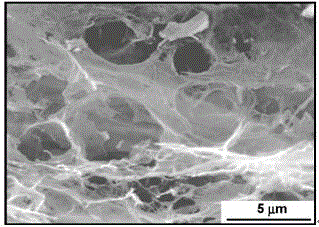 Microbial fuel cell for treating domestic sewage