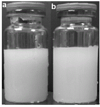 Drug-loaded silicone grease ultrasonic contrast agent and its preparation method and use