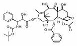 Methods of treating CNS tumors with tesetaxel