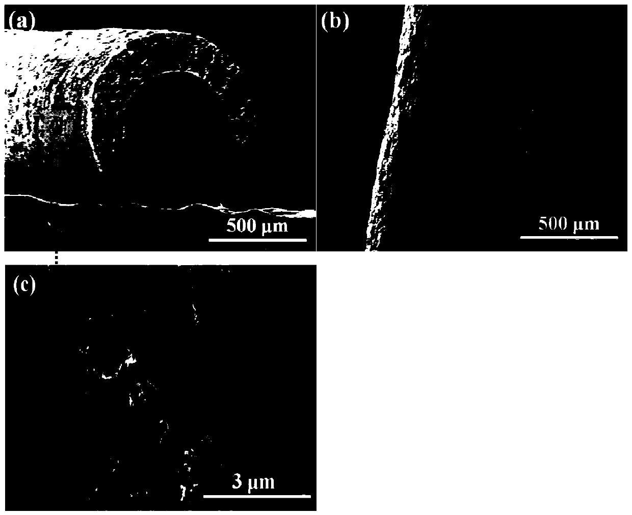 Preparation method of porous carbon-carbon nanotube hollow fiber membrane capable of generating hydroxyl radicals under electrochemical strengthening effect