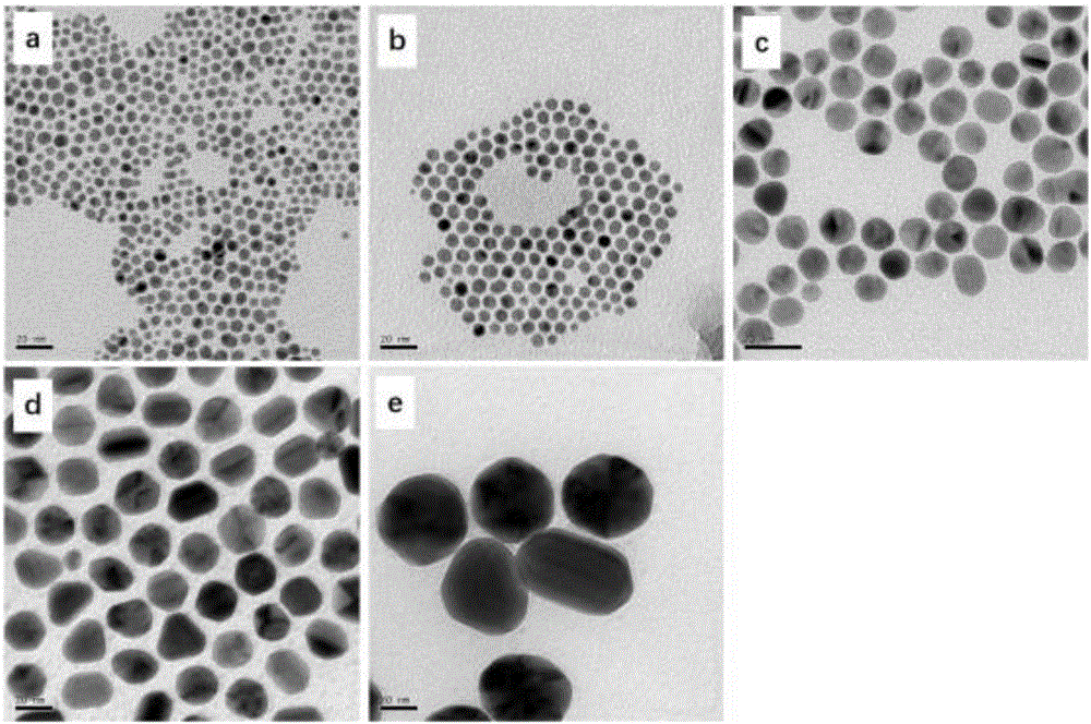 Preparation method and application of multi-sized monodisperse gold nanoparticles