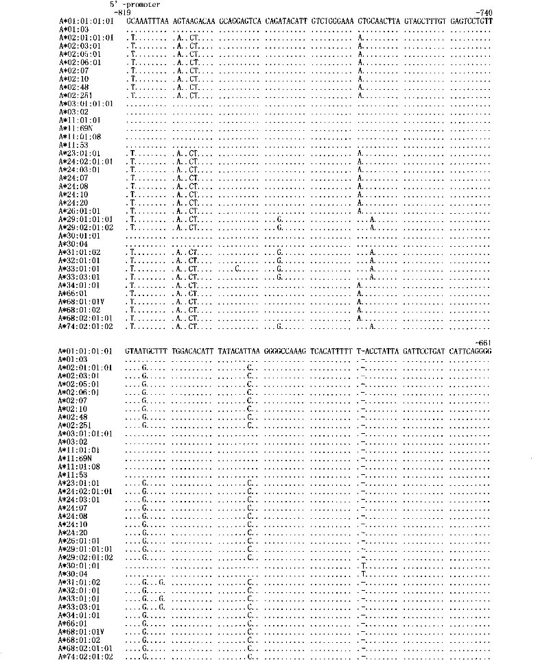 Human leukocyte antigen HLA-A gene sequencing and typing method