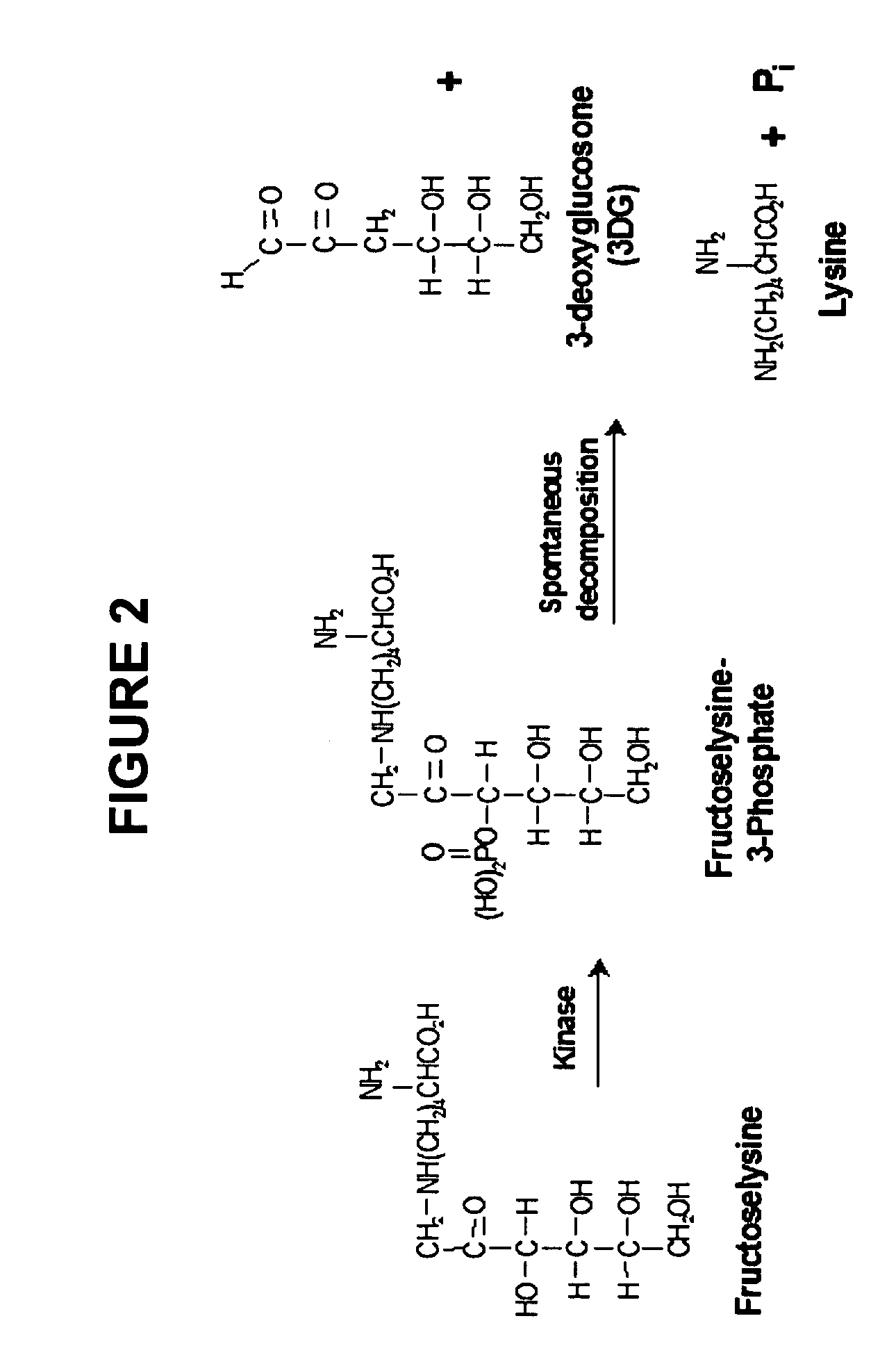 Dermal delivery of n-methyl-glucamine and n-methyl-glucamine compounds